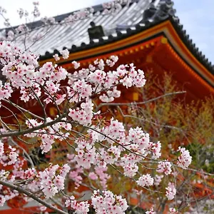 *** Aparthotel Sakura Gion North Japan
